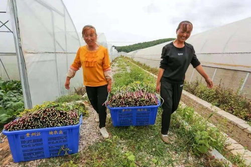 点赞 威宁2个集体荣获全国脱贫攻坚表彰