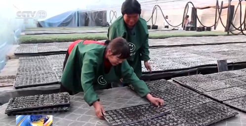 起好步 开好头 各地按下春耕备耕 快进键