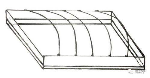 这是高效实用型黄瓜嫁接技术,生长点斜插法